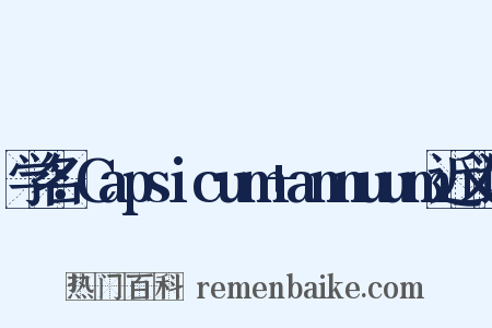 学名：Capsicum+annuum近义词是什么意思的图片